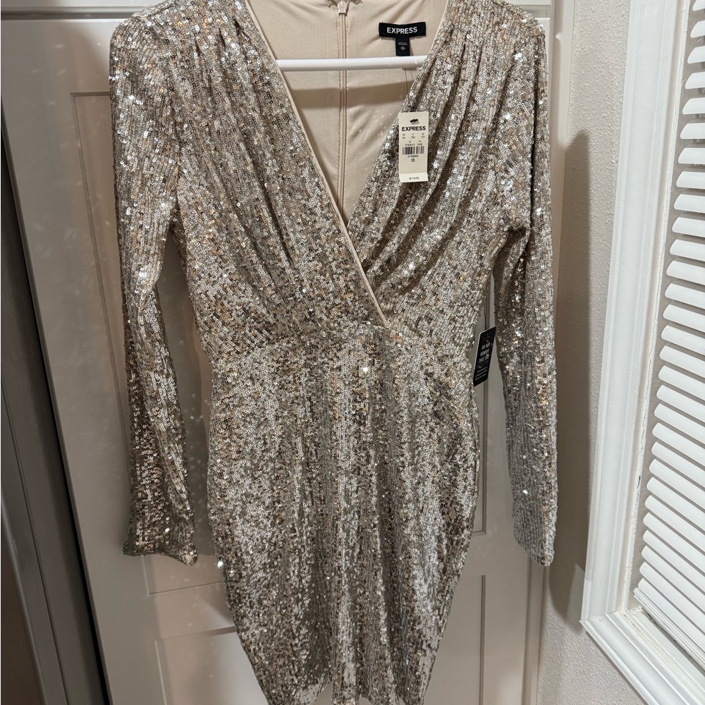Express Shimmering Sequin Dress